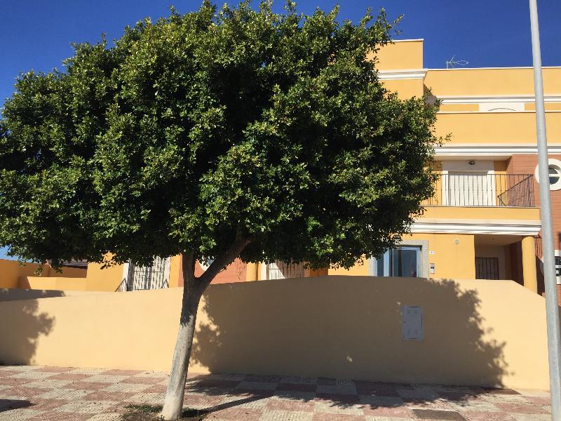 Apartamentos Playamar Roquetas de Mar Buitenkant foto